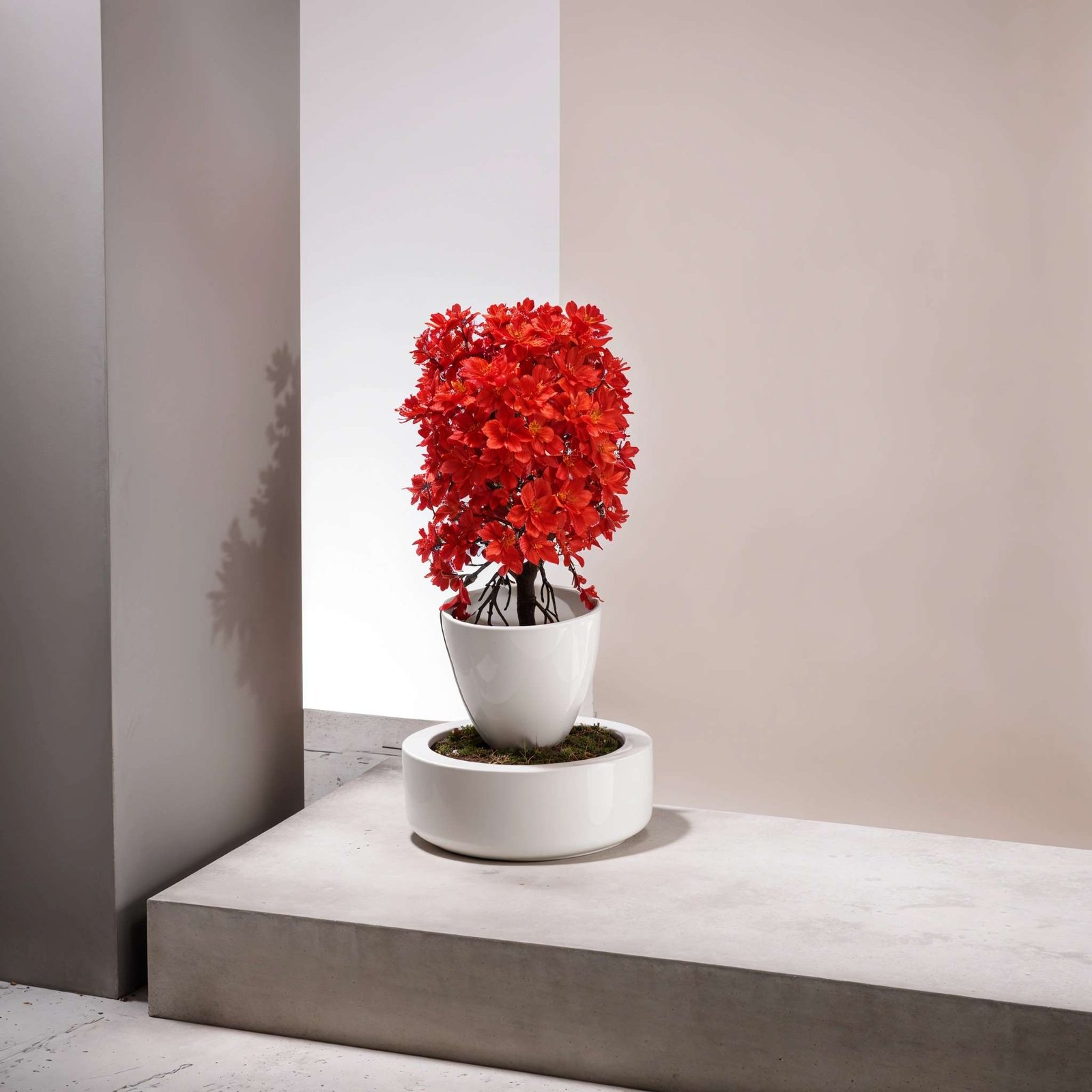 Flowers Artificial Wild Plant with Pot Showcase Decoration Plants Flowers | Fake Plant | Artificial Plants for Home Decor Office Gifting Plants Decorative  (Pack Of 2) (RV-AP16) - Image 4